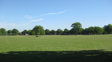 Peckham Rye Common